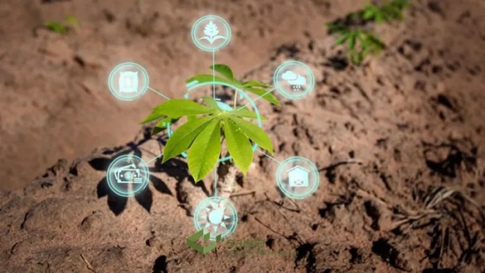 The Impact of Cloud Computing on Agriculture