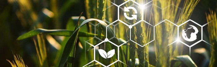 Applications of Big Data Analytics in Agriculture